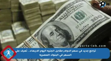 تراجع جديد في سعر الدولار مقابل الجنيه اليوم الأربعاء.. تعرف على السعر في البنوك المصرية